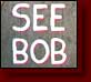 See Bob